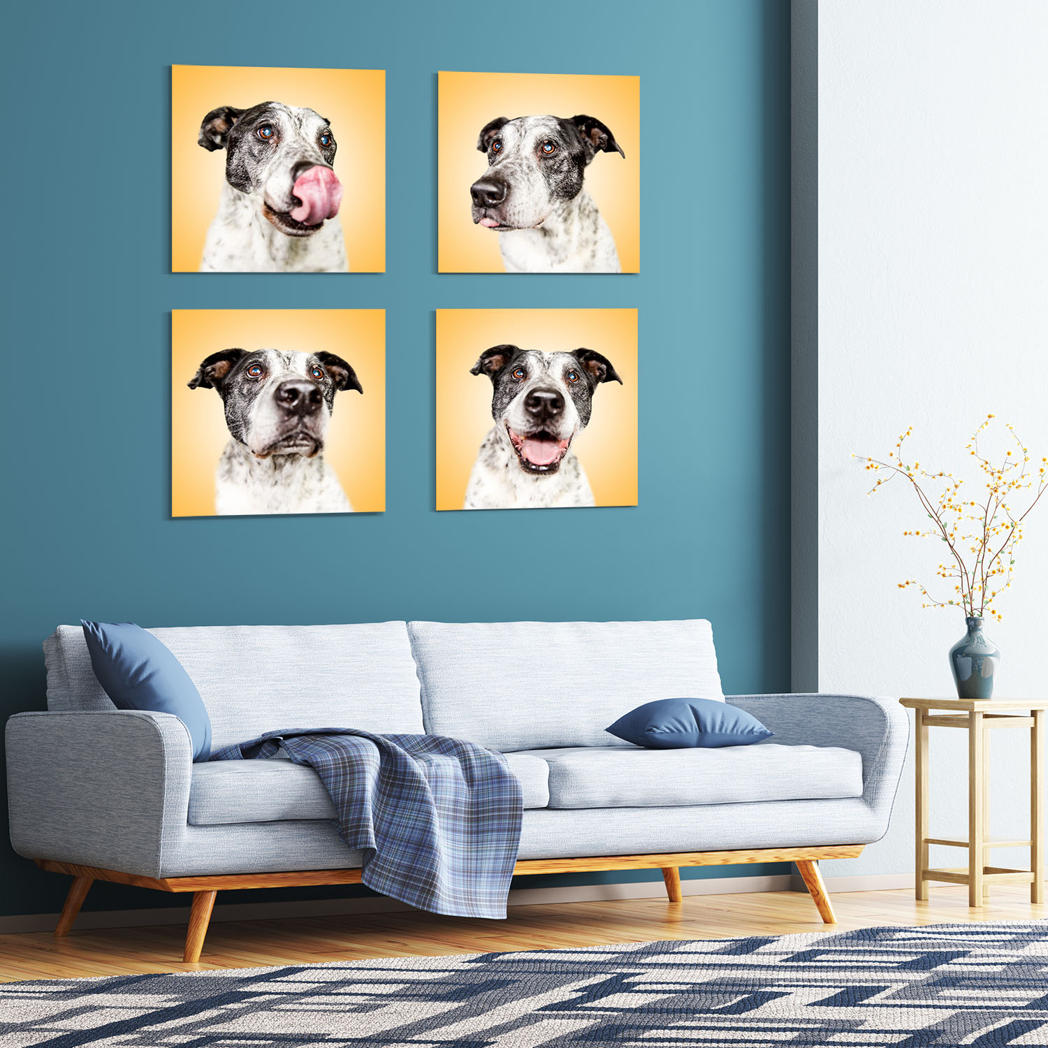 Alu Dibond - Collage Wandbild Wandgalerie deines Lieblingshundes | Studioshooting Indoor Lustige Hundeportraits mit Hund - Fotoprodukt