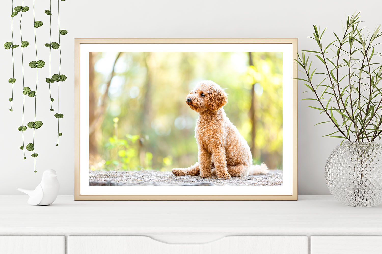 Fine Art Print deines Lieblingshundes | Outdoorshooting mit Hund - Fotoprodukt