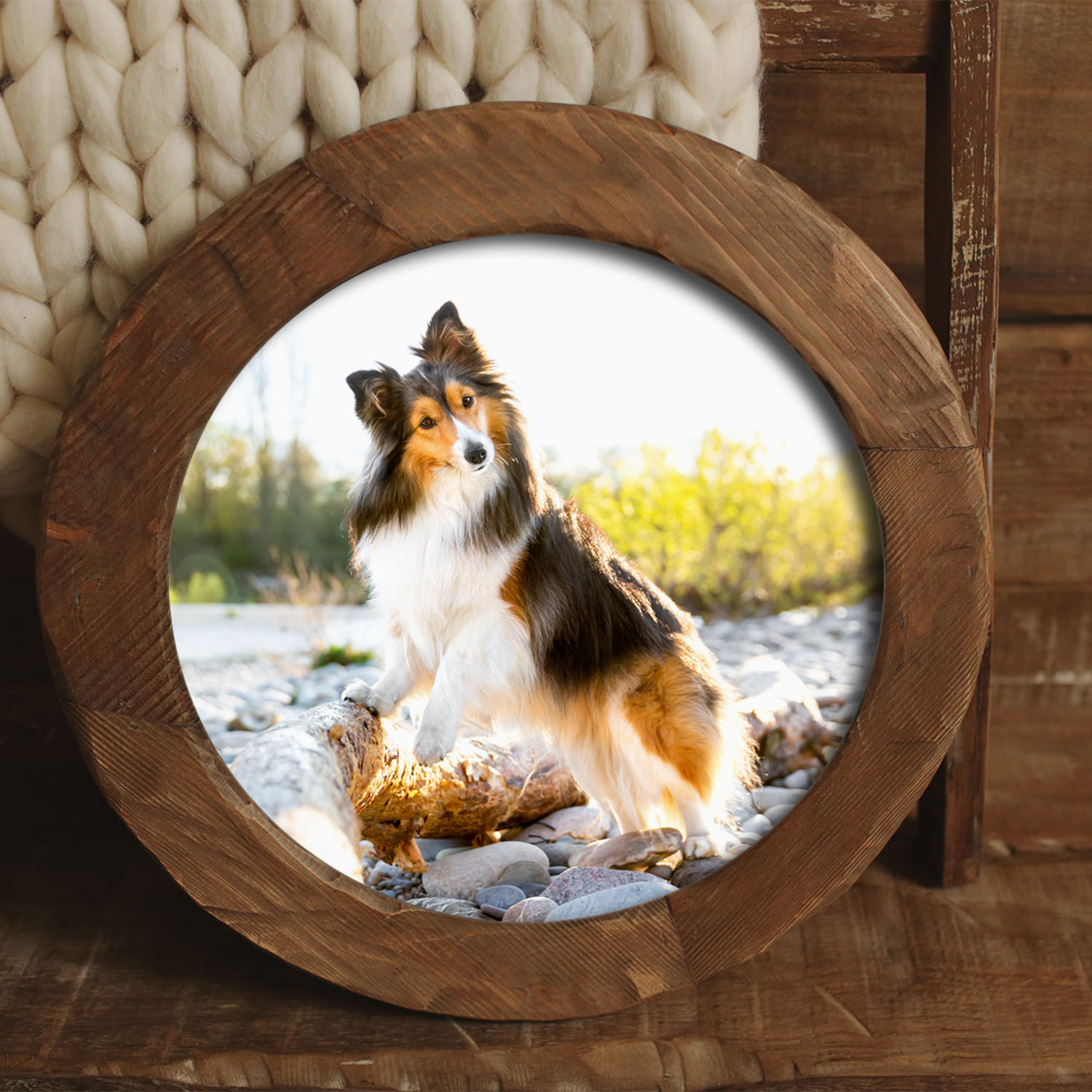 Holzliebe - Bilder deines Lieblingshundes auf Holz | Outdoorshooting mit Hund - Fotoprodukt