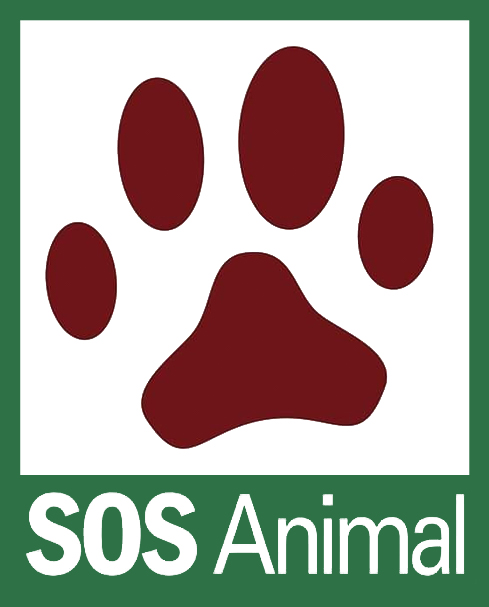 SOS-Animal-Mallorca-Tierschutz-Spanien-Tierrettung-Tierheim-Hunde-Hilfe