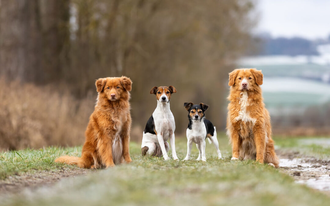 Ein “Hallo” nach langer Zeit…