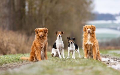 Ein “Hallo” nach langer Zeit…